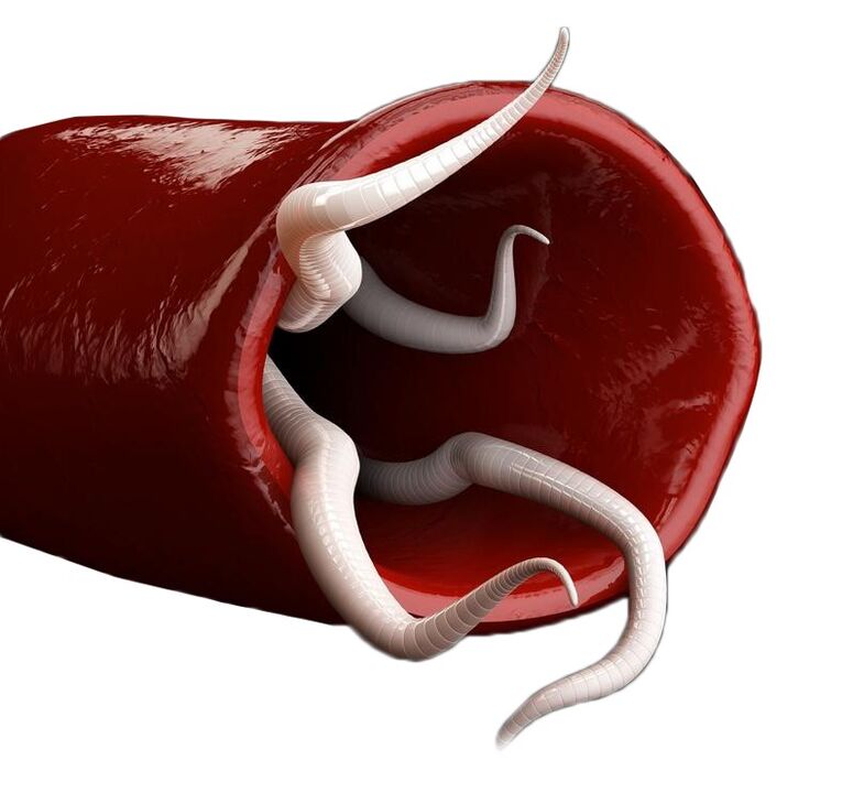 Principle of operation of Toxic OFF capsules