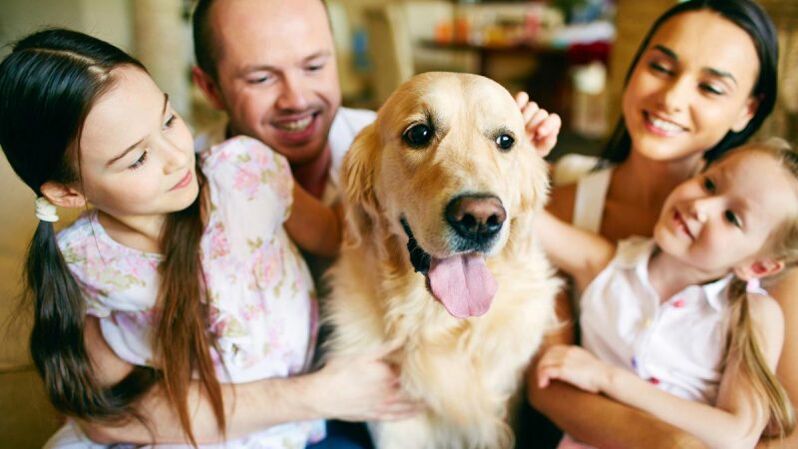 a dog in the house as a worm trader