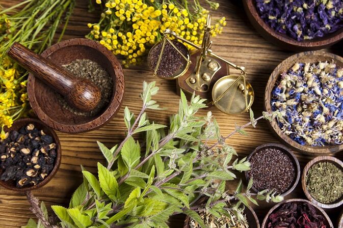 plants for removing parasites from the body