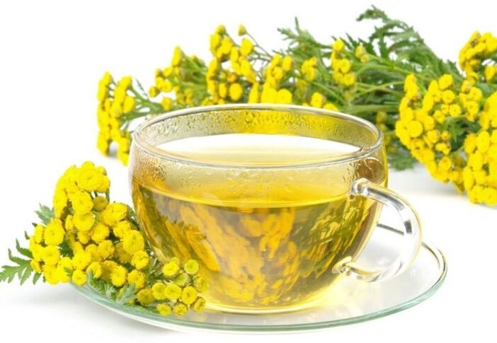 Decoction of tansy against parasites in the body