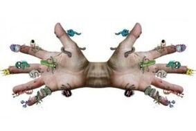 microbial parasites on human hands