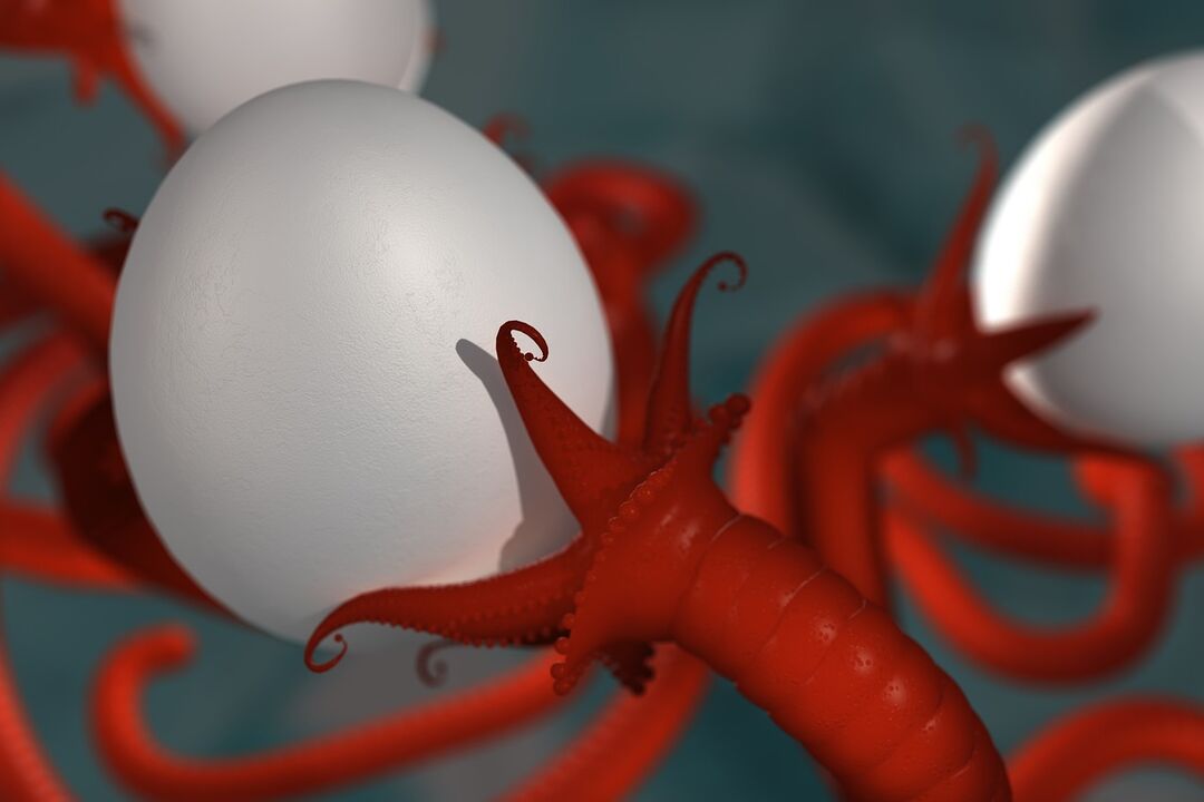 a worm parasite in humans